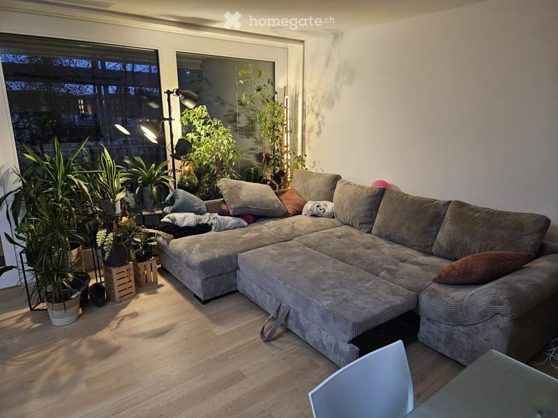 Modern living room with a large sectional sofa, multiple throw pillows, floor lamp, and several potted plants near large windows.