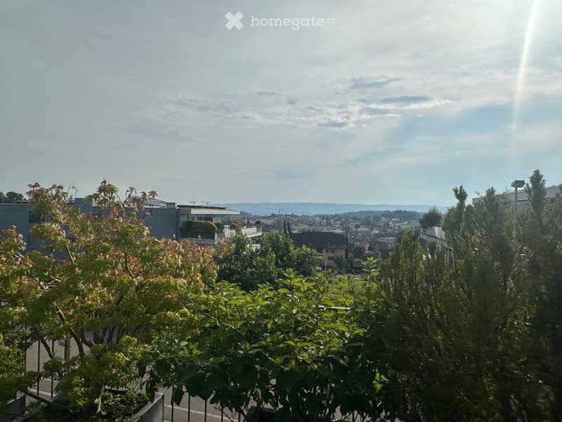 Balcony with lush greenery, offering a panoramic view of a cityscape with buildings and distant hills under a partly cloudy sky.