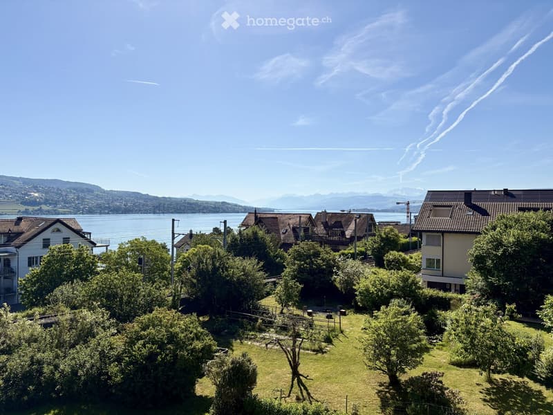 A serene garden area with lush green trees and shrubs, overlooking a picturesque lake and distant mountains under a clear blue sky.