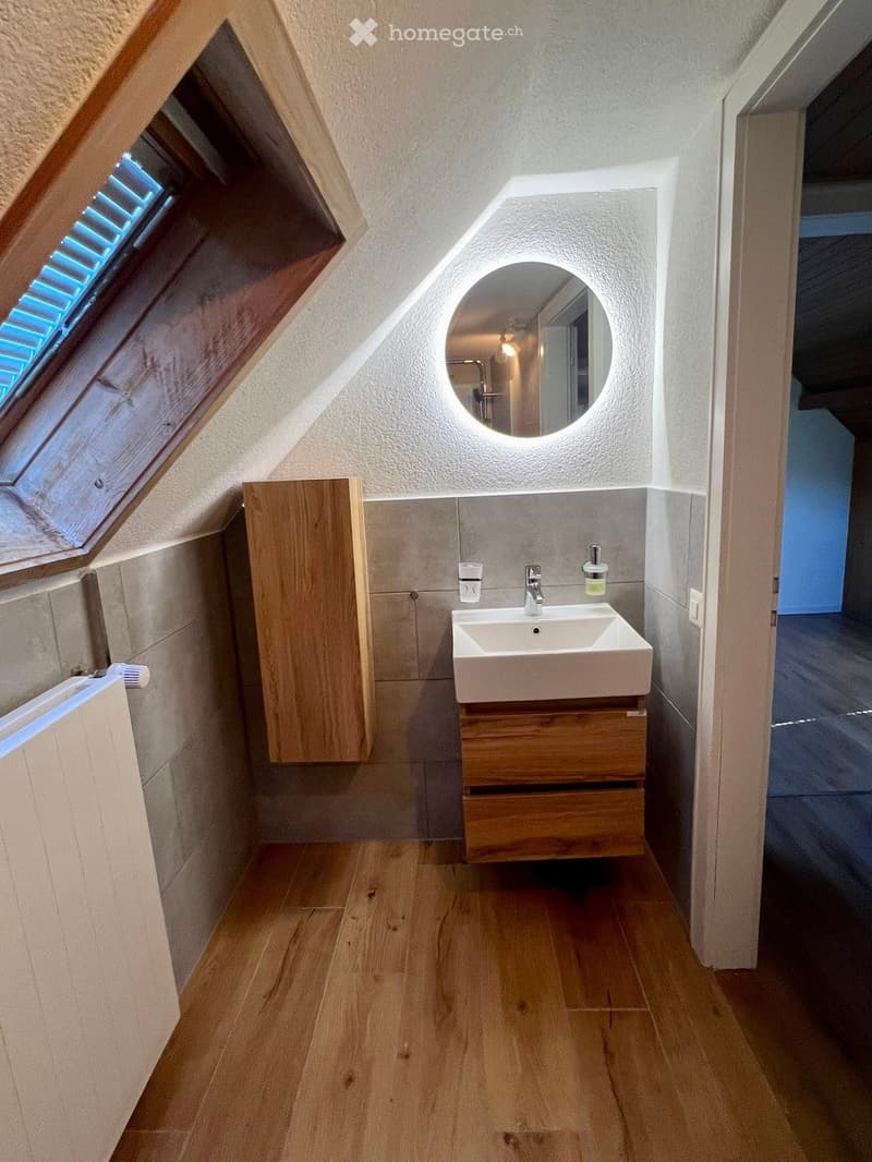 Modern bathroom with wooden flooring, a white sink with a chrome faucet, a wooden cabinet, and a round mirror with built-in lighting. The room features a skylight window and a radiator.