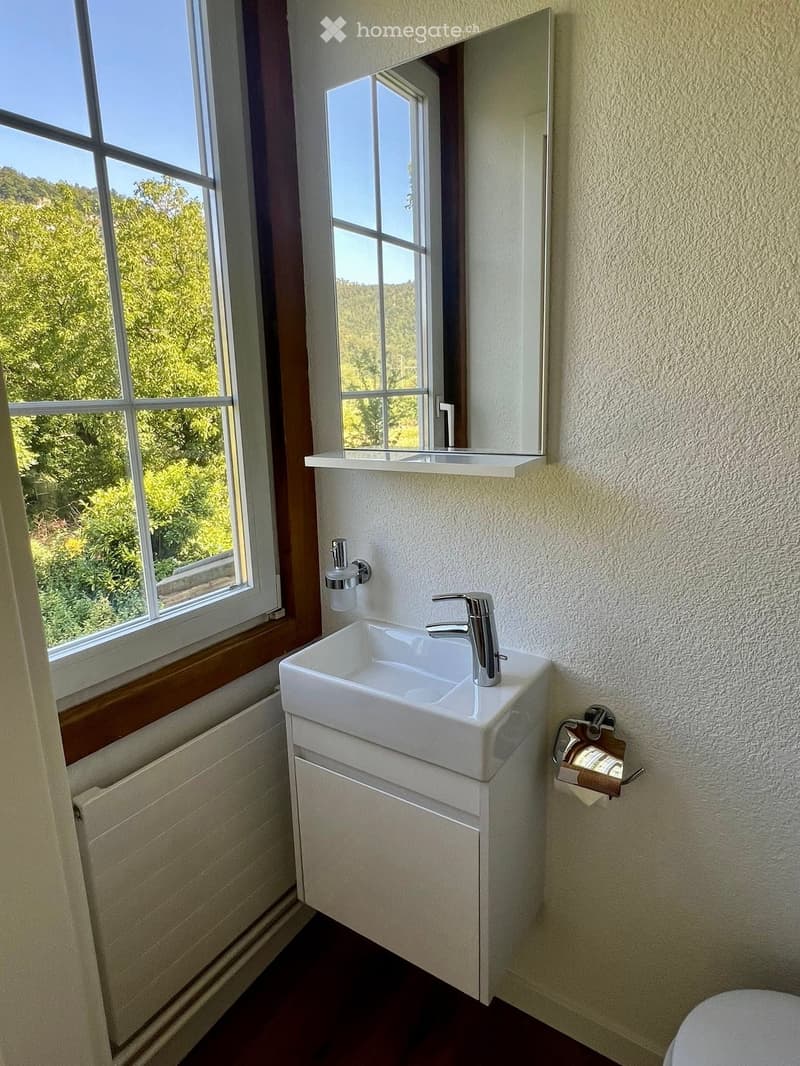 Modern bathroom with a white sink, chrome faucet, mirror, and toilet paper holder. Large window offers a view of greenery outside.