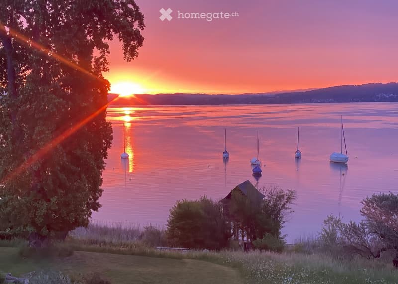 Water, sunset, several boats, mountains in distance, trees, grassy shore, cabin