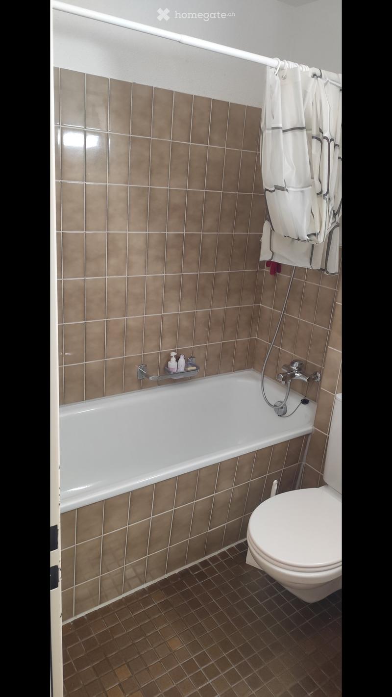 Bathroom with a white bathtub, toilet, tiled walls, and a towel rack with towels. Includes a shower hose and bathroom accessories on a shelf.
