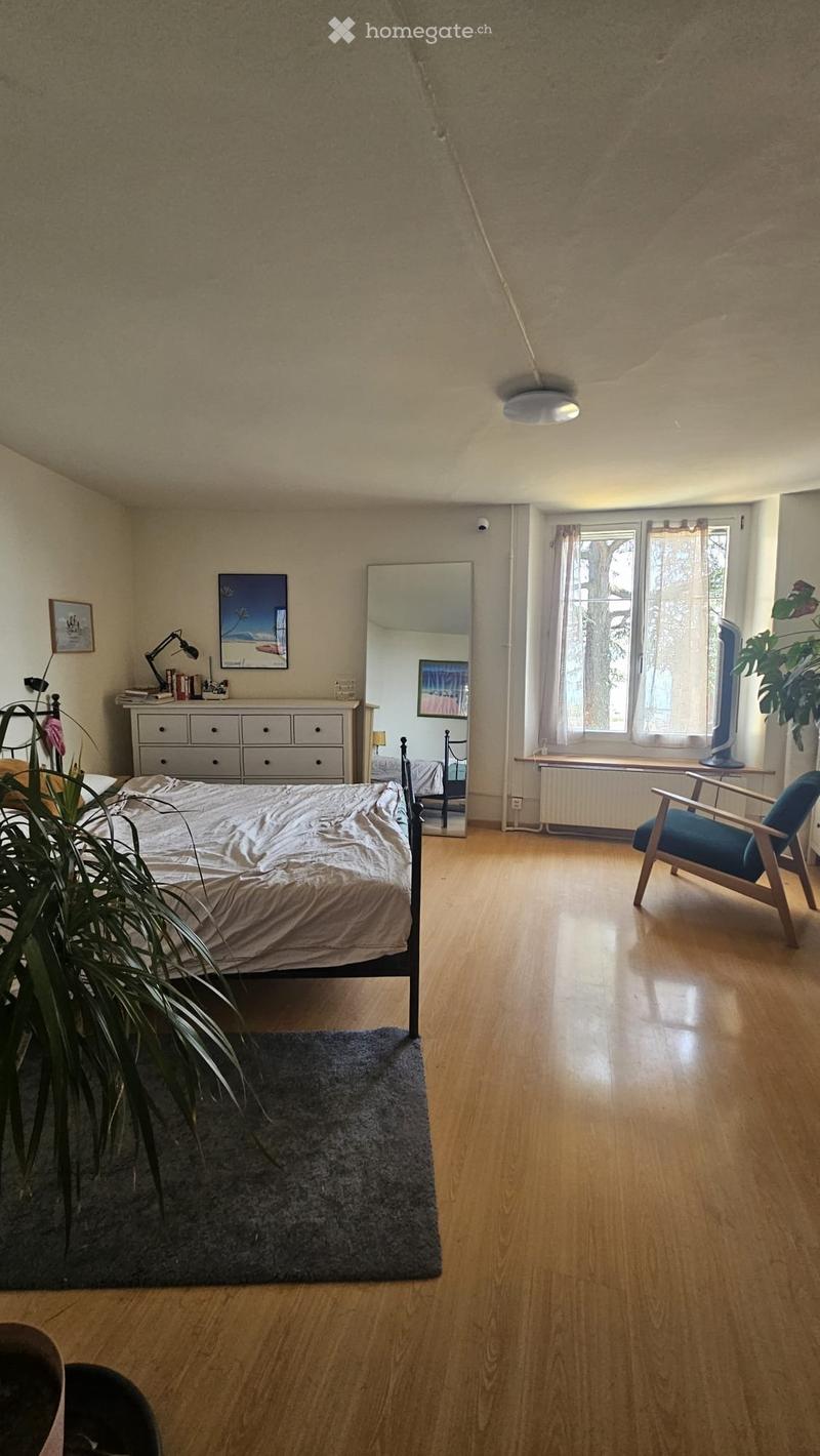 Bright bedroom with wooden flooring, a bed with white bedding, a wooden chair, a mirror, a small table with a lamp, and a plant near the window.
