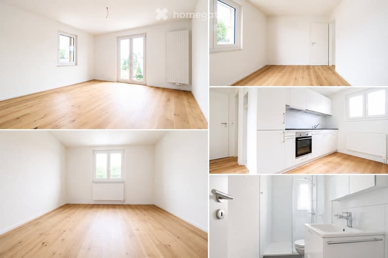 Four images showing unfurnished rooms with wooden flooring, white walls, and windows. The rooms include a living space, a kitchen, and a bathroom, all devoid of furniture or personal items.