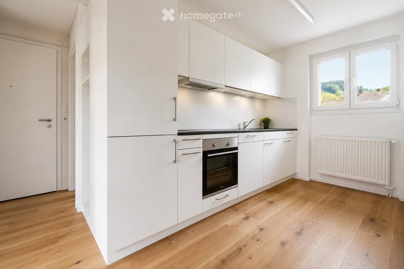 Modern kitchen with white cabinets, wooden flooring, built-in oven, sink, and small plant on the counter.