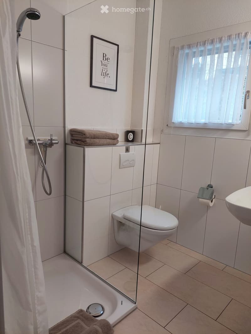 Shower stall, walk-in shower, white tiles, toilet, toilet paper holder, mirror, shelves, towel holder, window with white curtain