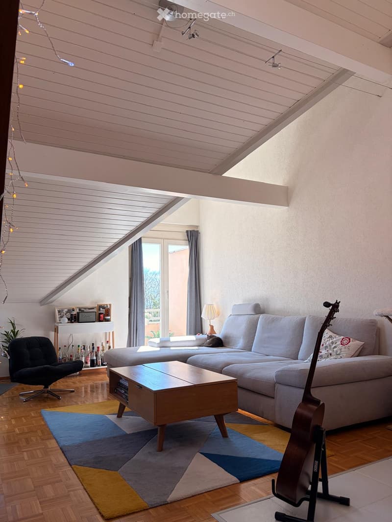 Living Room. Living room with a grey sectional sofa, wooden coffee table, guitar, black chair, small table with picture frames, and a cat sitting on the sofa. The room features wooden flooring, a colorful rug, and a skylight.