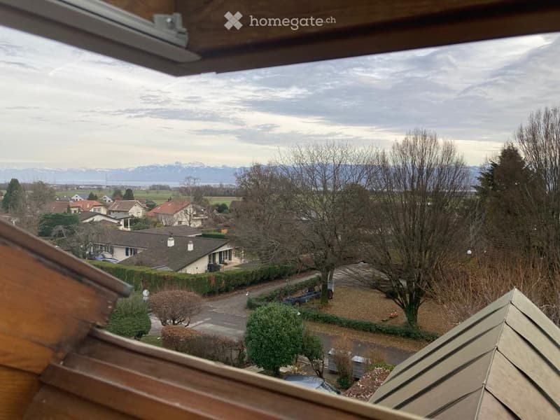 Balcony / Terrace. View from a balcony showing a suburban neighborhood with houses, trees, and distant mountains under a cloudy sky.