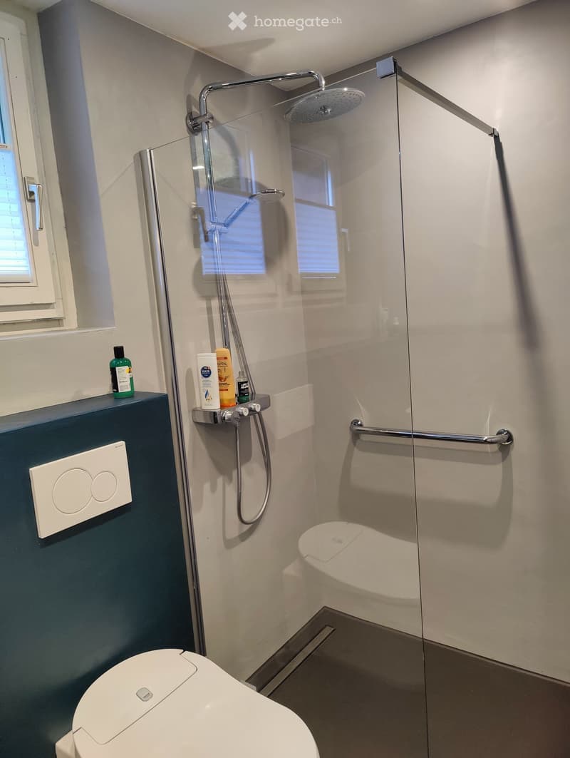 Modern bathroom with a toilet, glass-enclosed shower, and a shower shelf holding toiletries.