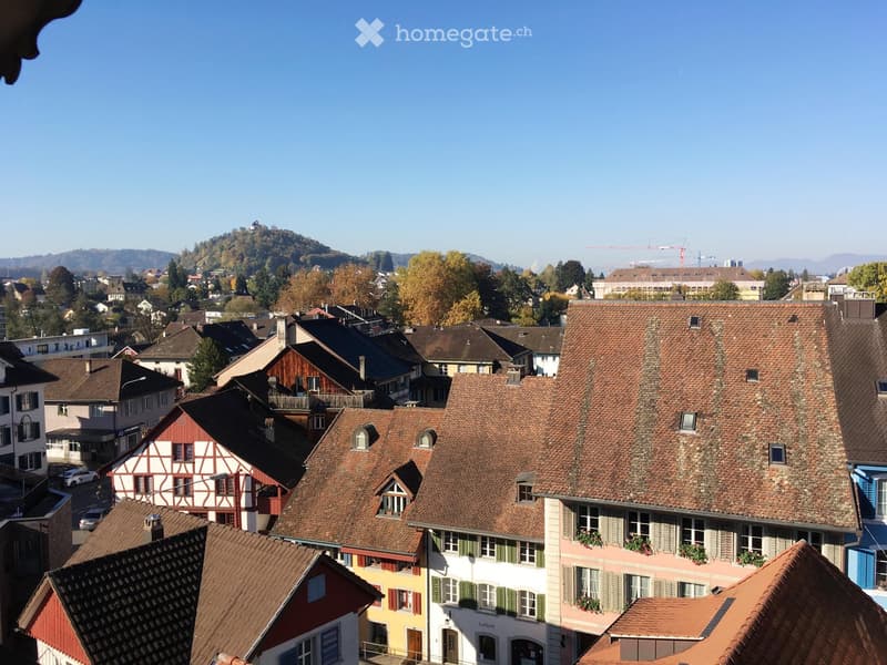A panoramic view of a town with traditional European houses featuring red-tiled roofs, chimneys, and colorful facades, surrounded by autumn trees and distant hills.