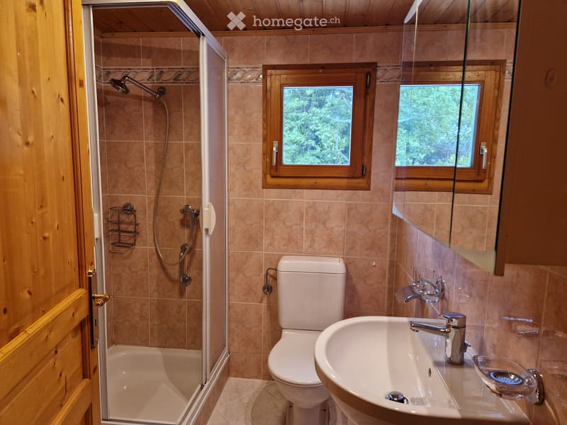 Bathroom with a toilet, sink, shower, and two windows with wooden frames. The shower has a glass enclosure and a handheld showerhead. A mirror is mounted on the wall above the sink.