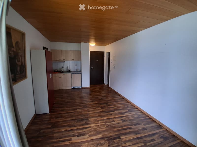 A narrow hallway with wooden flooring, white walls, and a small kitchen area visible at one end. The hallway features a closed door and a light fixture on the ceiling.