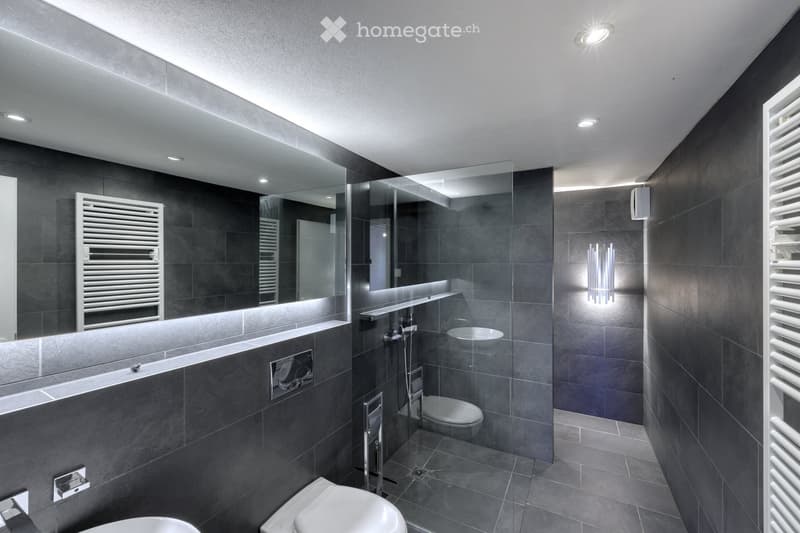 Modern bathroom with dark grey tiles, a large mirror, a toilet, a sink, a shower with a glass enclosure, and two radiators on either side.