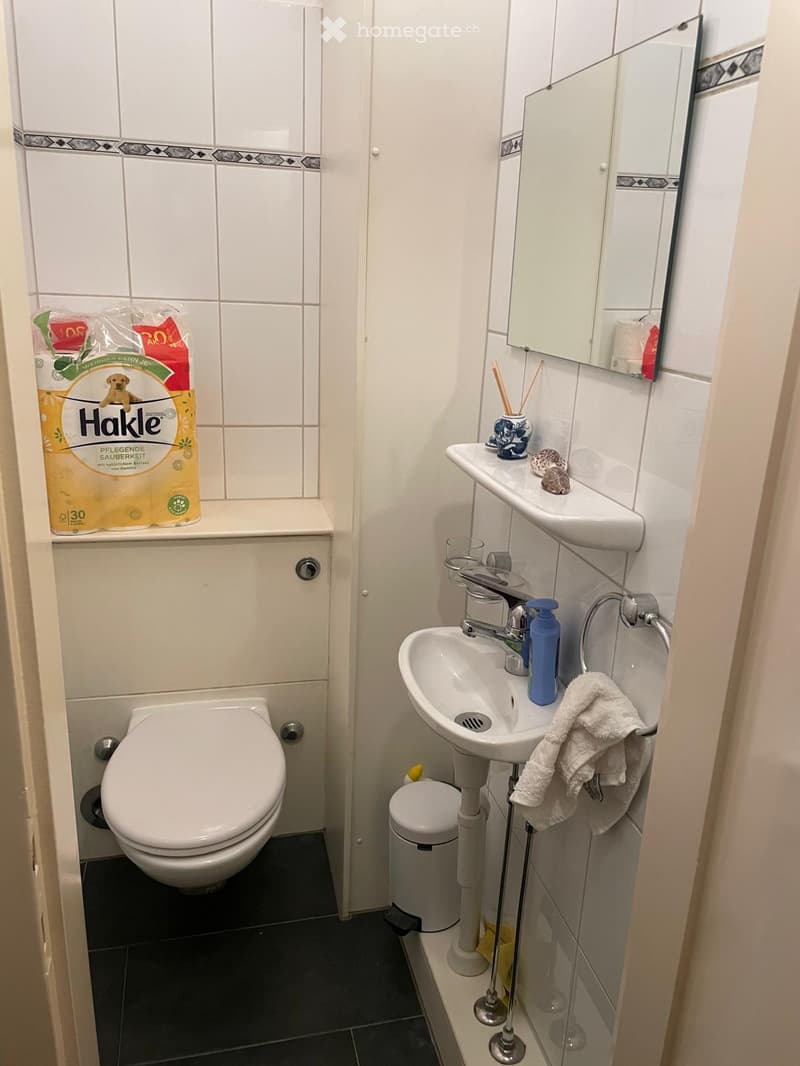 The bathroom features a toilet, a sink with a mirror above it, a towel hanging on the side, and a toilet paper roll on the shelf above the toilet. The walls are tiled in white with a decorative border, and the floor is dark tiled.