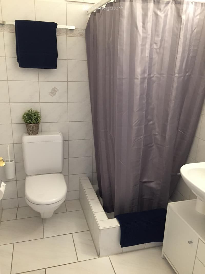 Clean bathroom with white tiles, a toilet, a sink, a shower curtain, a towel, and a small plant on the toilet tank.