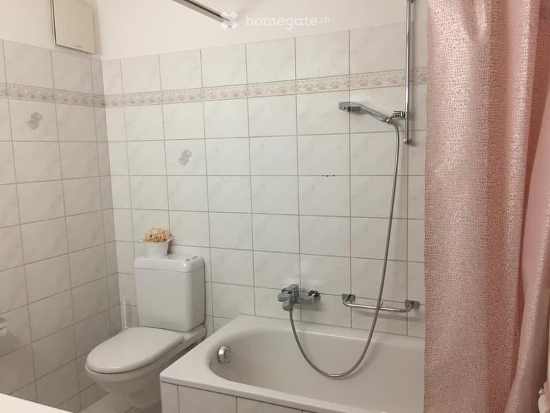 A small bathroom with a toilet, bathtub, and a handheld shower hose. The walls are tiled in light beige with a decorative border. A small flower vase sits on top of the toilet tank.