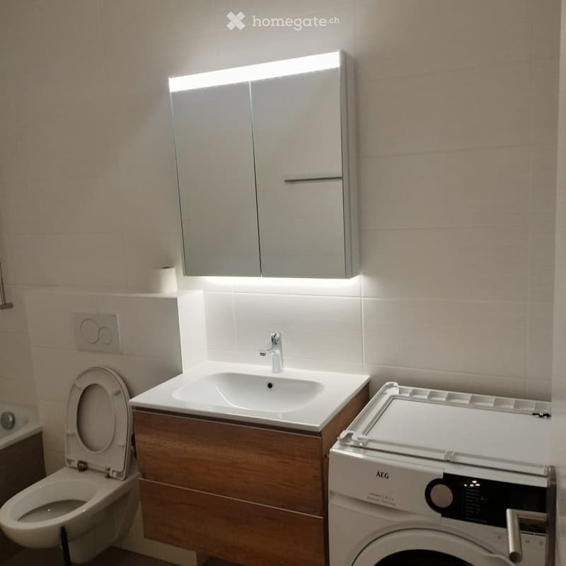 Modern bathroom with a toilet, sink, mirror, wooden cabinet, and a washing machine.
