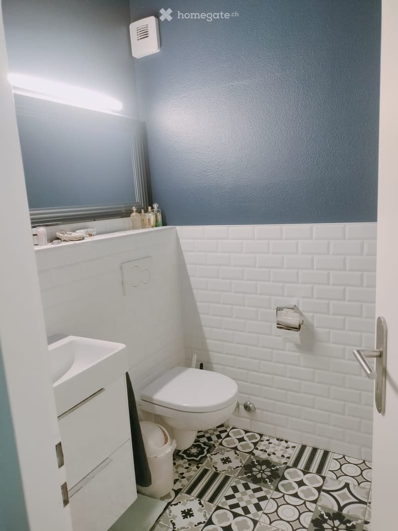 Modern bathroom with white tiles, a toilet, sink, mirror, and decorative floor tiles.