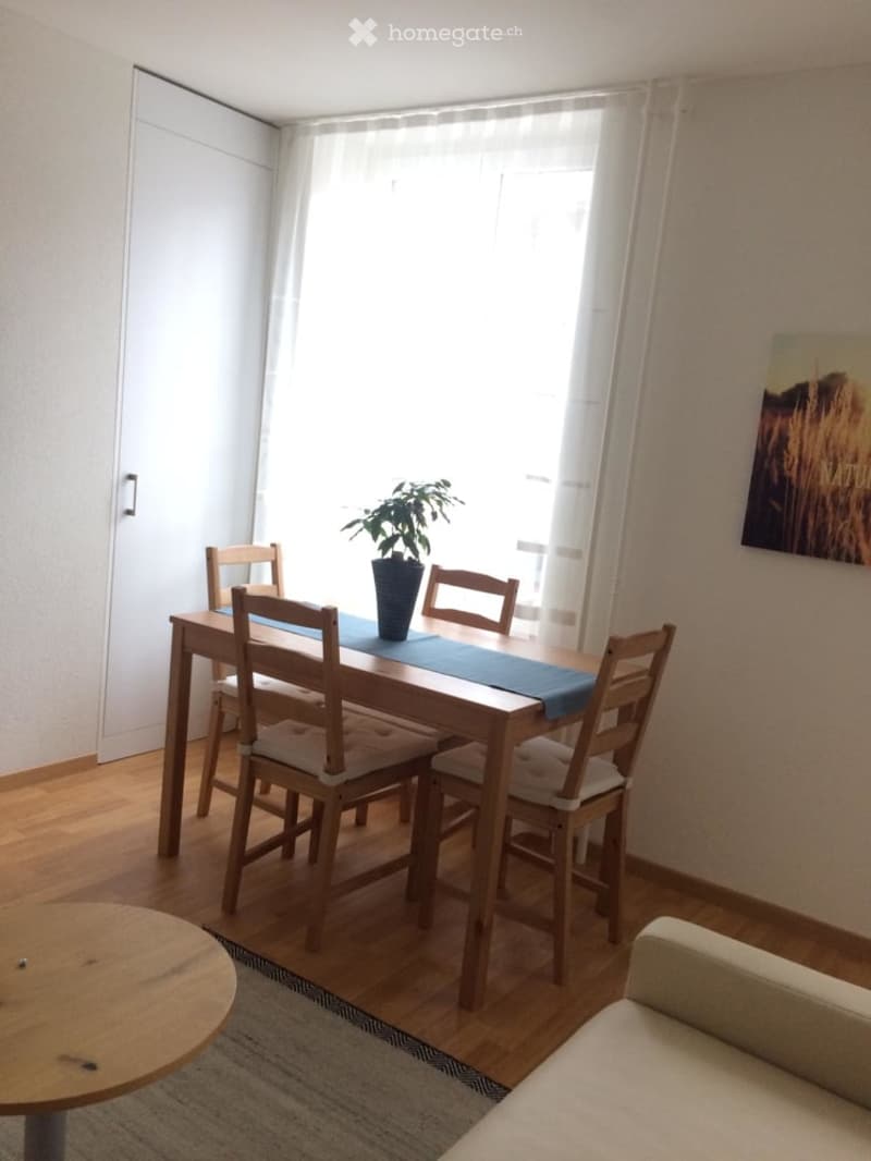 Bright dining area with a wooden dining table, four chairs, a potted plant, a sofa, and a painting on the wall.