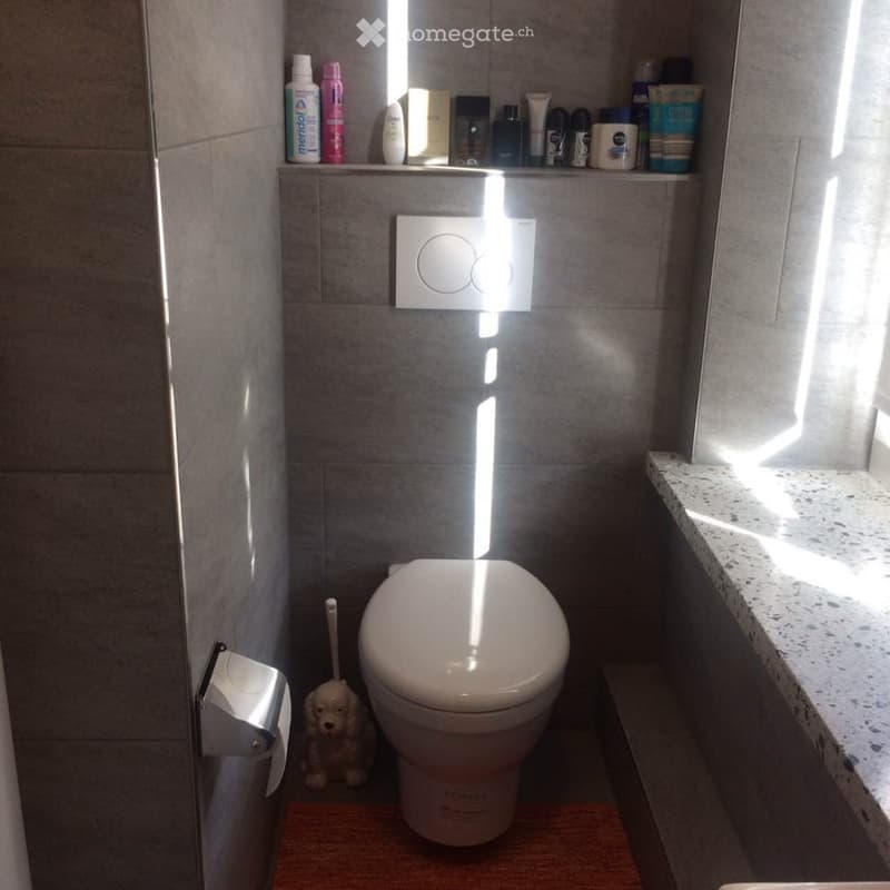 Modern bathroom with grey tiled walls, a toilet, a toilet paper holder, a toilet brush, a small shelf with various toiletries, and a small decorative toy on the floor.