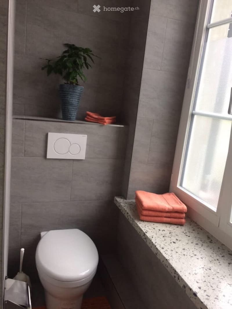 Modern bathroom with grey tiled walls, a white toilet, a small shelf with a plant and towels, and a window with blinds.