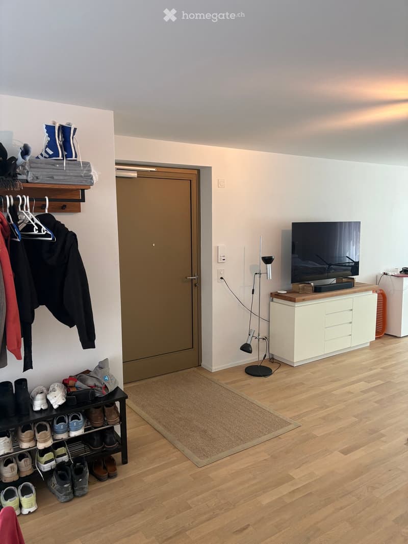 A modern, well-lit living space with wooden flooring, a television on a white cabinet, a floor lamp, a shoe rack, and a coat rack with jackets and shoes.