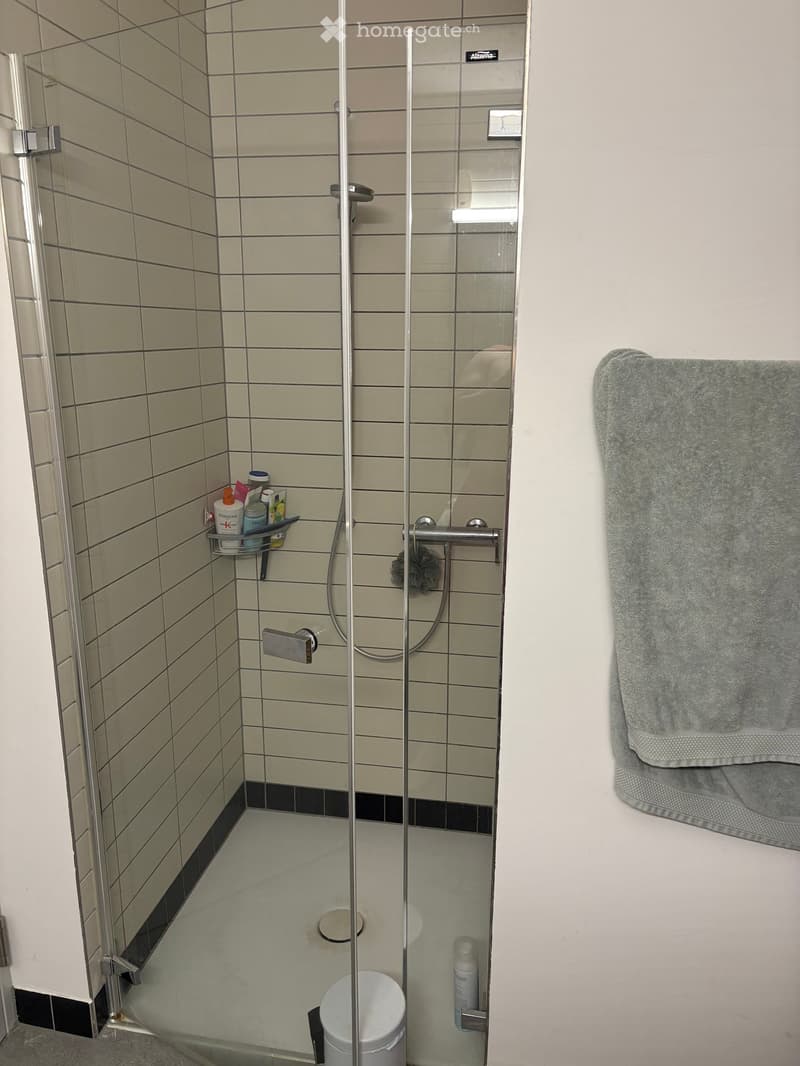 Modern bathroom with a glass-enclosed shower stall, tiled walls, a towel hanging on the side, and a small shelf holding toiletries.