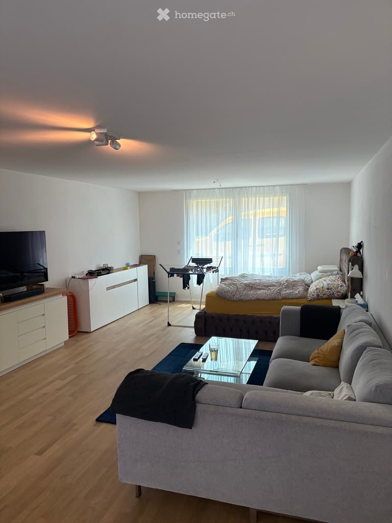 A modern living room with a grey sectional sofa, glass coffee table, flat-screen TV on a white cabinet, and a bed with colorful bedding in the background. The room features wooden flooring, large windows with white curtains, and a ceiling light fixture.