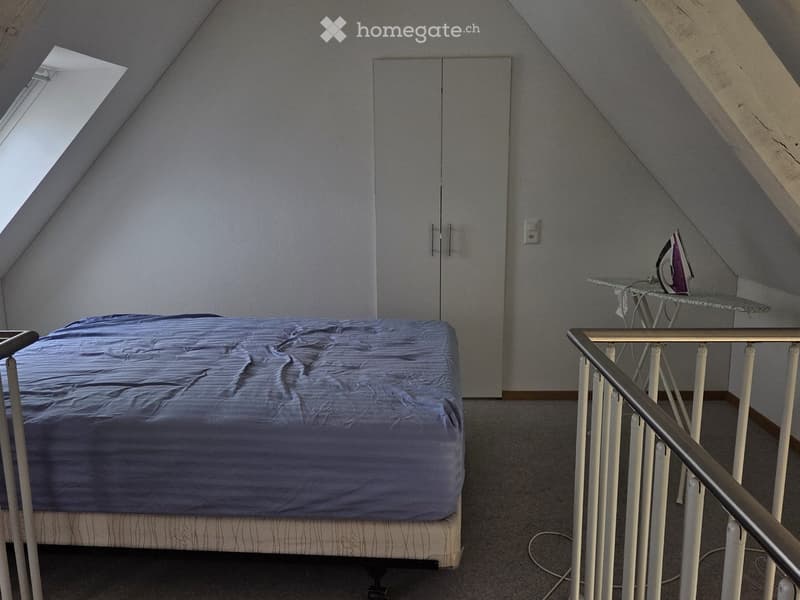 Bedroom with a single bed, a wardrobe, an ironing board, and an iron. The room has slanted ceilings and a skylight window.