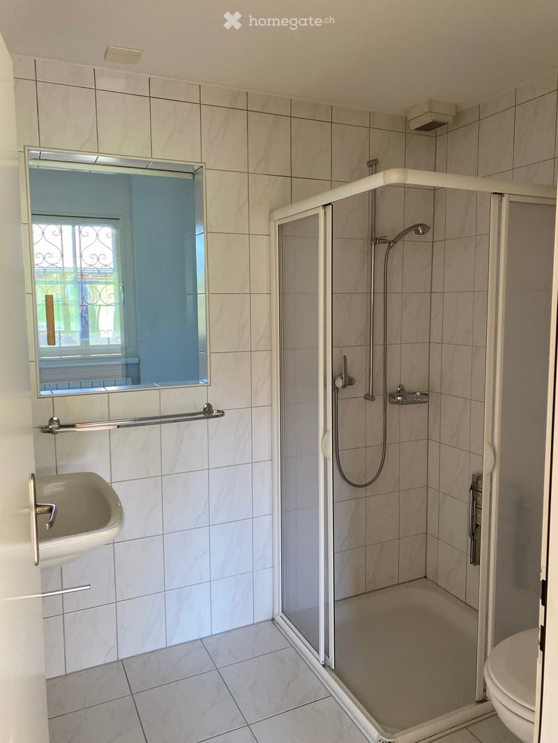 Modern bathroom with tiled walls and floor, featuring a sink with a mirror, a walk-in shower with a glass door, and a toilet. The shower includes a handheld showerhead and a built-in shelf.