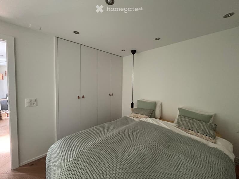 Modern bedroom with a neatly made bed, pillows, a wardrobe, and a hanging light fixture.