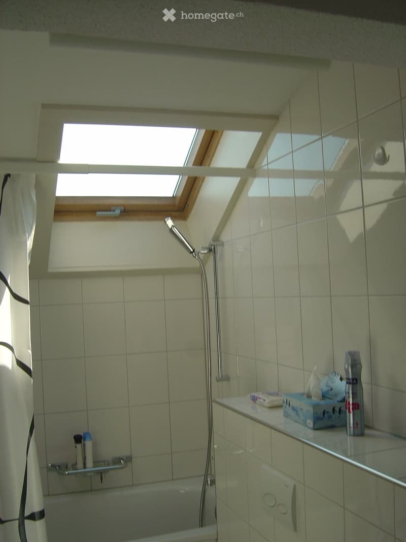 Bathroom with a bathtub, showerhead, mirror, and toiletries on the counter. The room features tiled walls and a skylight window above the bathtub.