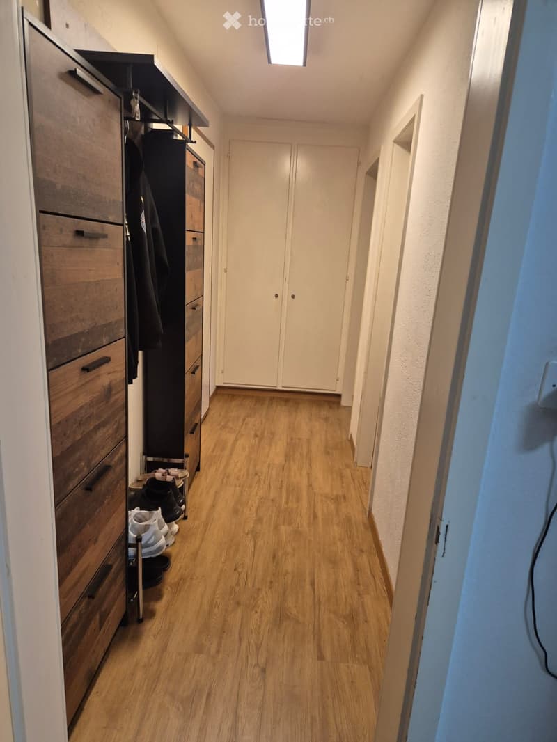 A narrow hallway with wooden flooring, white walls, and a built-in wooden storage unit on the left side. A closed double door is visible at the end of the hallway.
