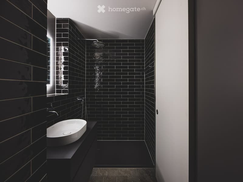 Modern bathroom with black tiled walls, a white sink, and a shower area with a glass enclosure.