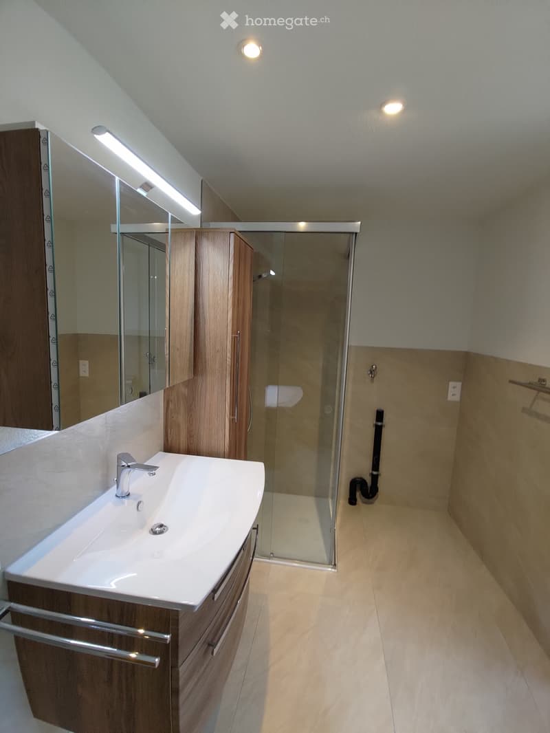Modern bathroom with a white sink, wooden cabinet, mirror, and glass-enclosed shower area.