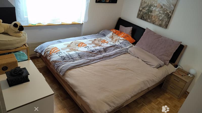 Cozy bedroom with a double bed, nightstand, lamp, dog bed, and decorative items on a table.