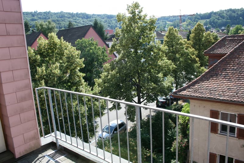 Balcony with metal railing overlooking a residential area with houses, trees, and parked cars.