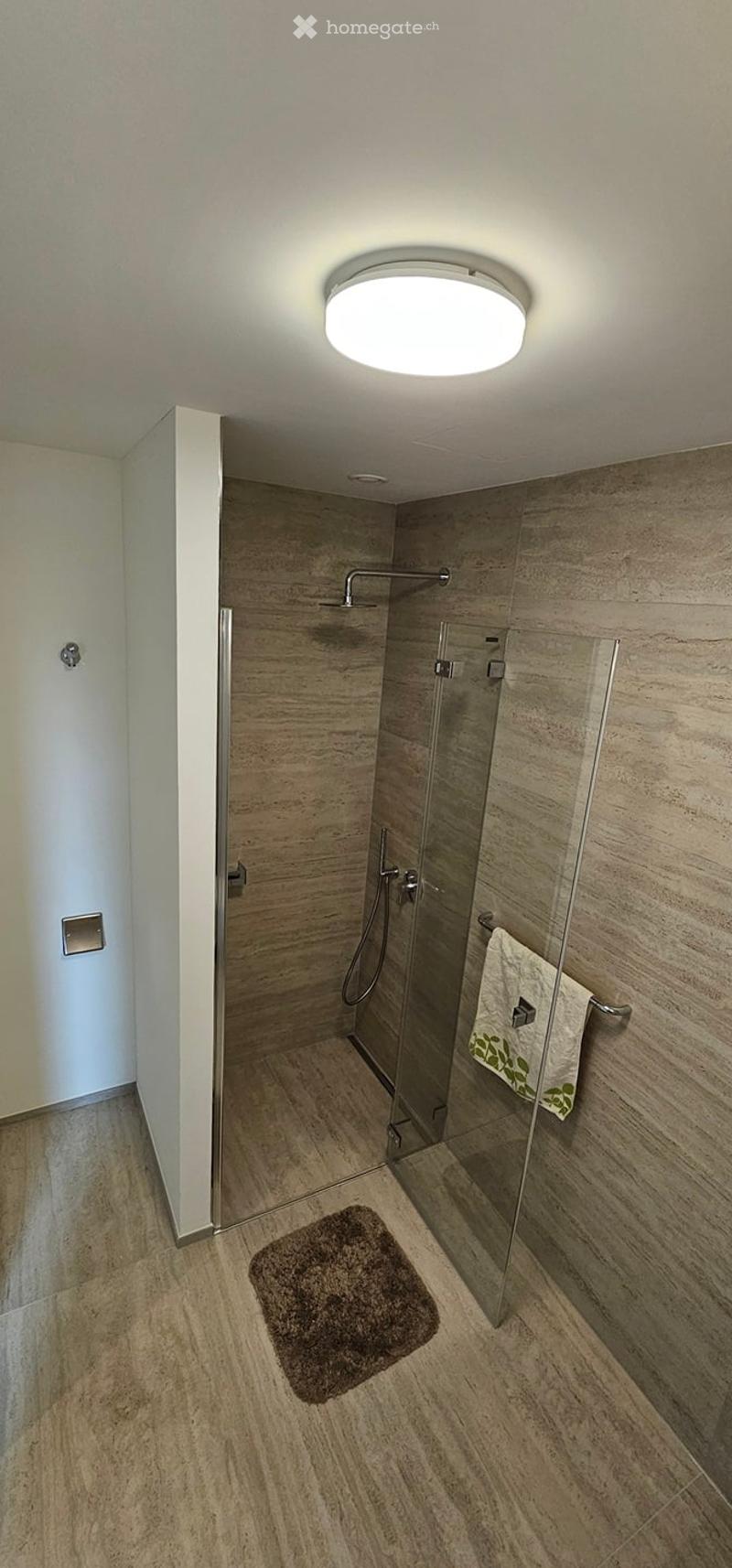 Modern bathroom with a glass-enclosed shower, wooden flooring, and a round ceiling light. A towel hangs on a rack, and a brown mat is placed on the floor.