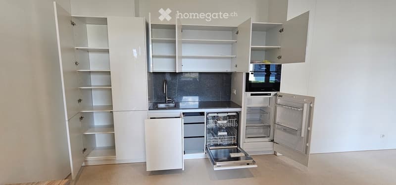Modern kitchen with white cabinets, stainless steel sink, dishwasher, and refrigerator. All cabinets are open, revealing shelves and storage space.
