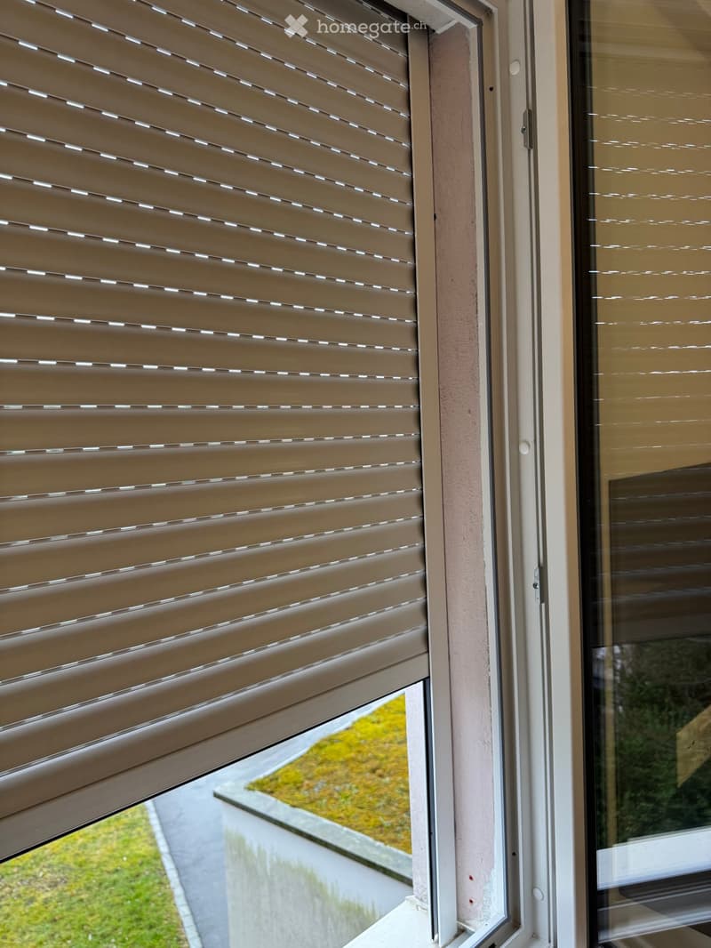 Window with roller blinds and a view of a green outdoor area.