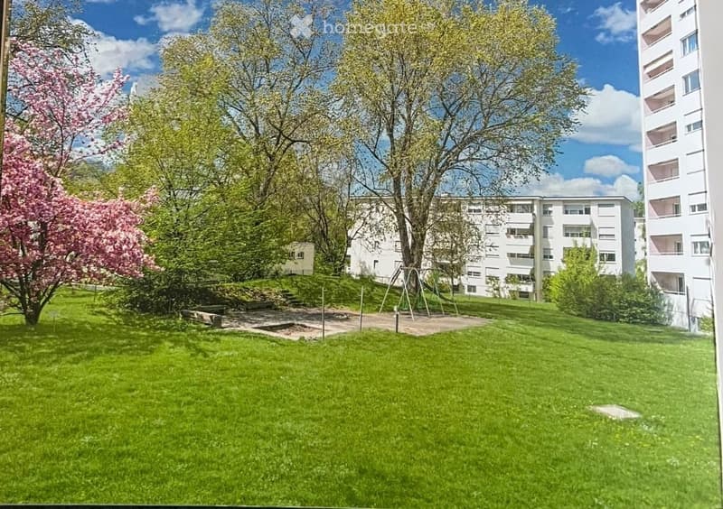 A well-maintained green lawn with trees, a playground, and apartment buildings in the background.