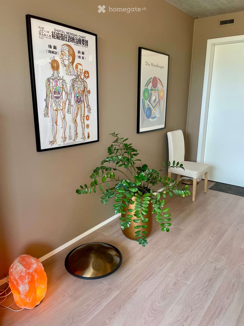 A hallway with light wooden flooring, two framed posters on the wall, a potted plant, a white chair, and a round metallic tray on the floor.