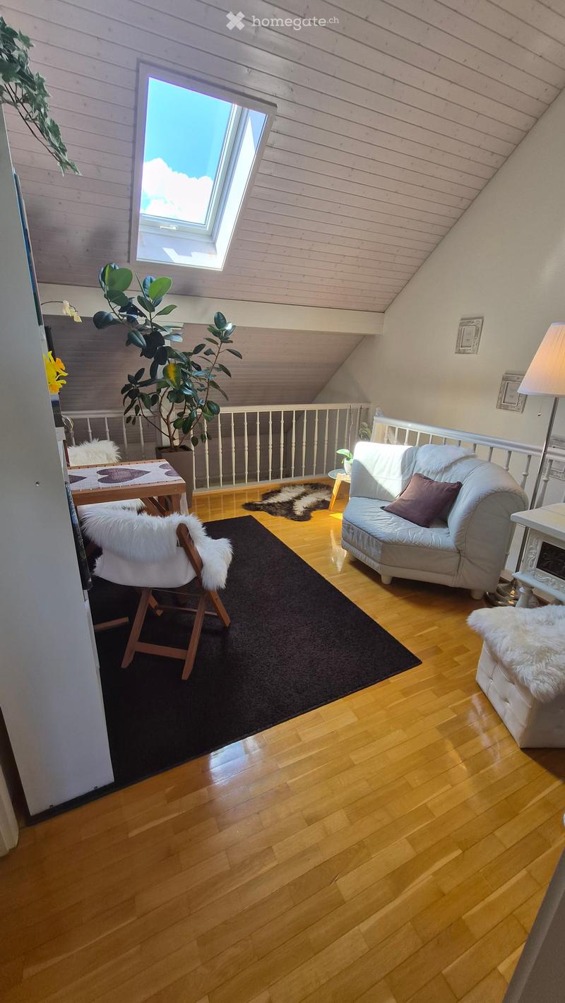 Cozy attic room with wooden floors, slanted ceilings, and large skylight. Features a grey sofa, wooden chair, small table, floor lamp, and a large potted plant.