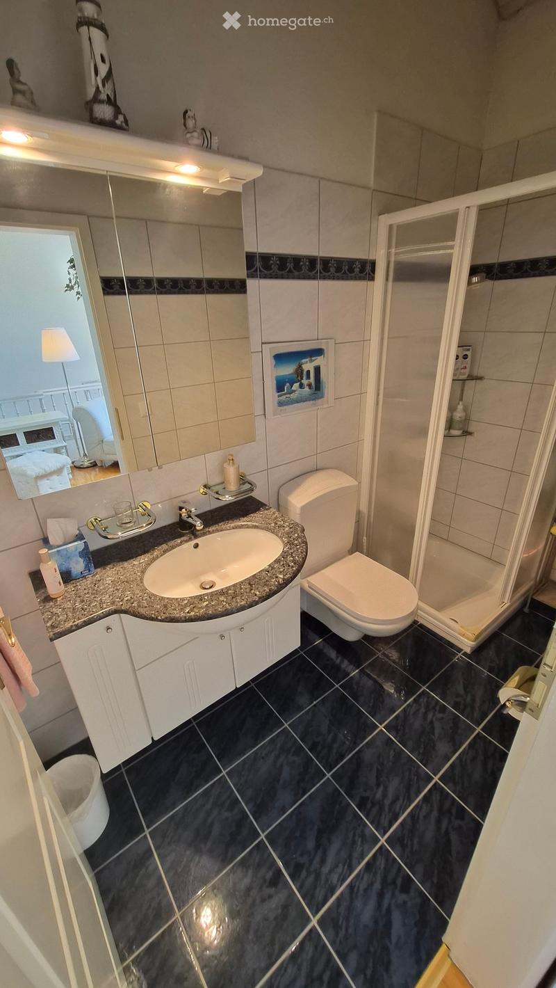Modern bathroom with dark tiled floor, white cabinetry, granite countertop sink, toilet, and glass-enclosed shower. Mirror above sink with decorative picture frame and toiletries.