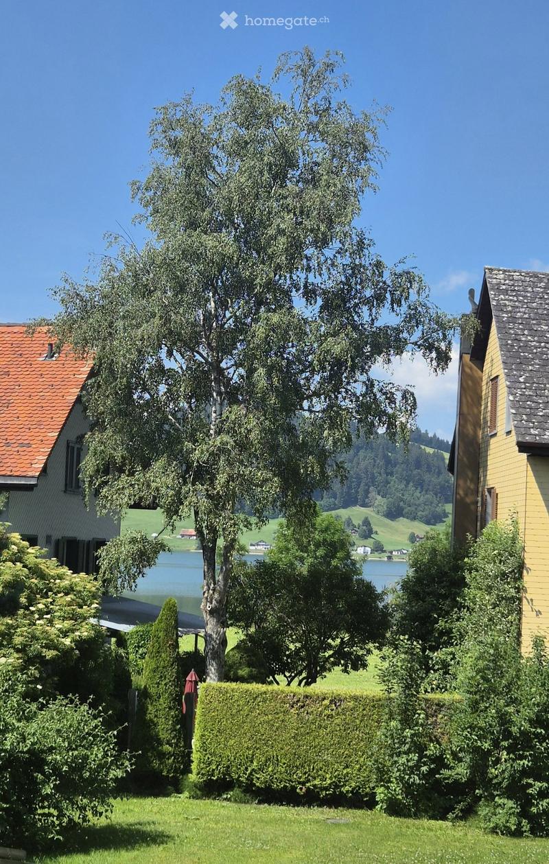 A well-maintained garden with a large tree, neatly trimmed hedges, and a view of a lake and surrounding hills in the background.