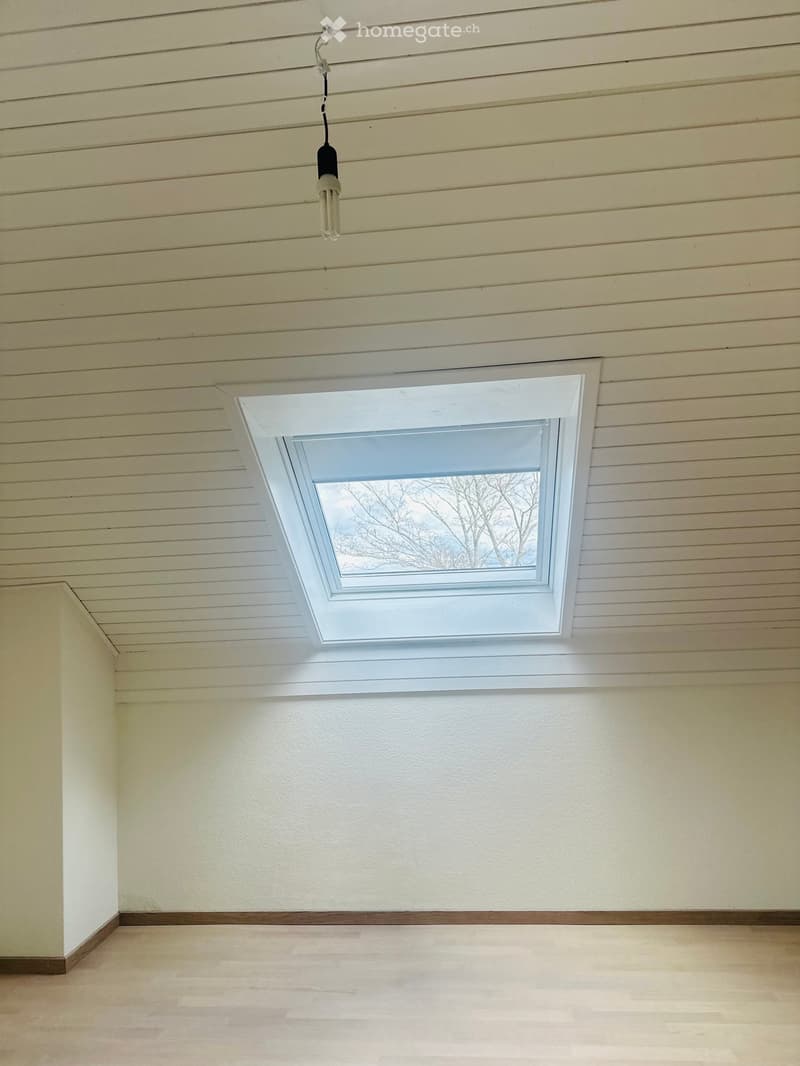Empty room with light-colored wooden flooring, white walls, and a skylight window. A single light fixture hangs from the ceiling.