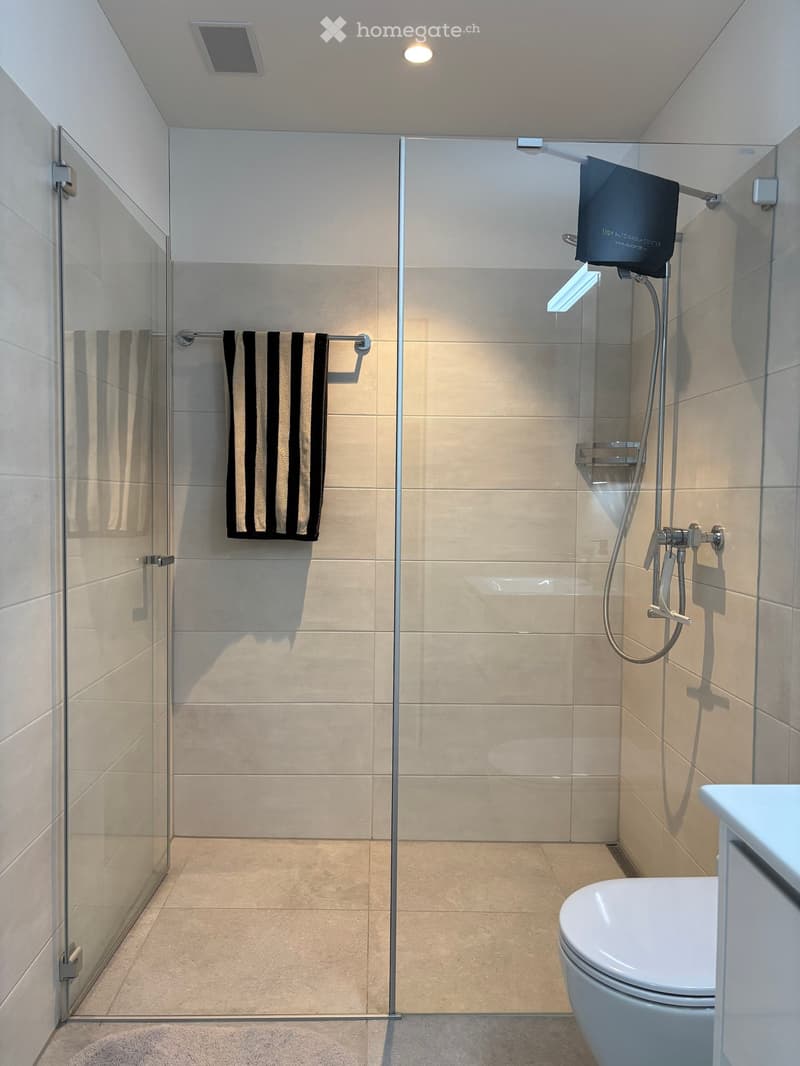 Modern bathroom with a glass-enclosed shower, a toilet, a towel on a rack, and a handheld showerhead.