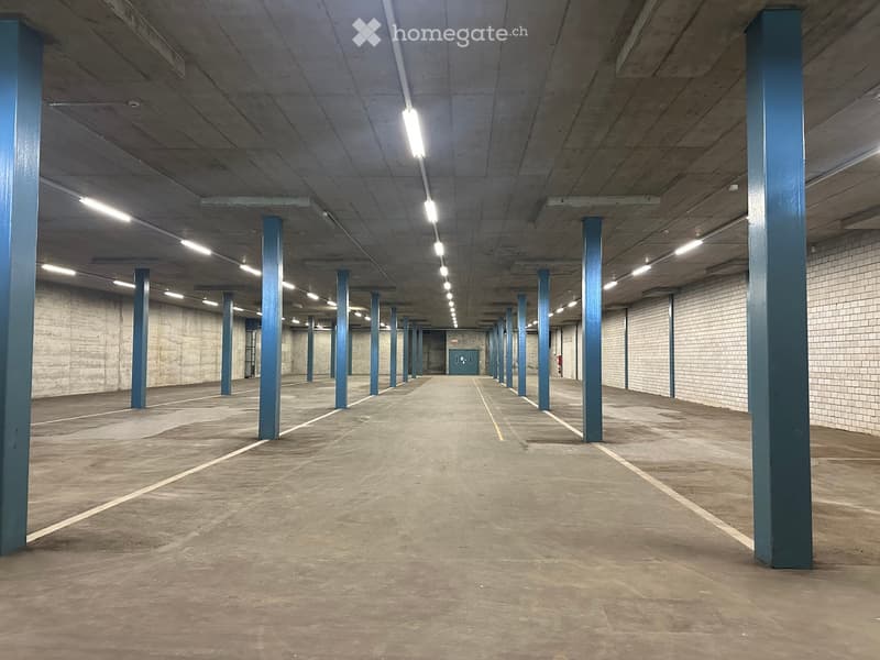 {"type": "Parking place", "objects": [], "description": "Empty underground parking area with concrete floors, blue support pillars, and fluorescent lighting.", "localized_descriptions": {"EN": "Empty underground parking area with concrete floors, blue sup
