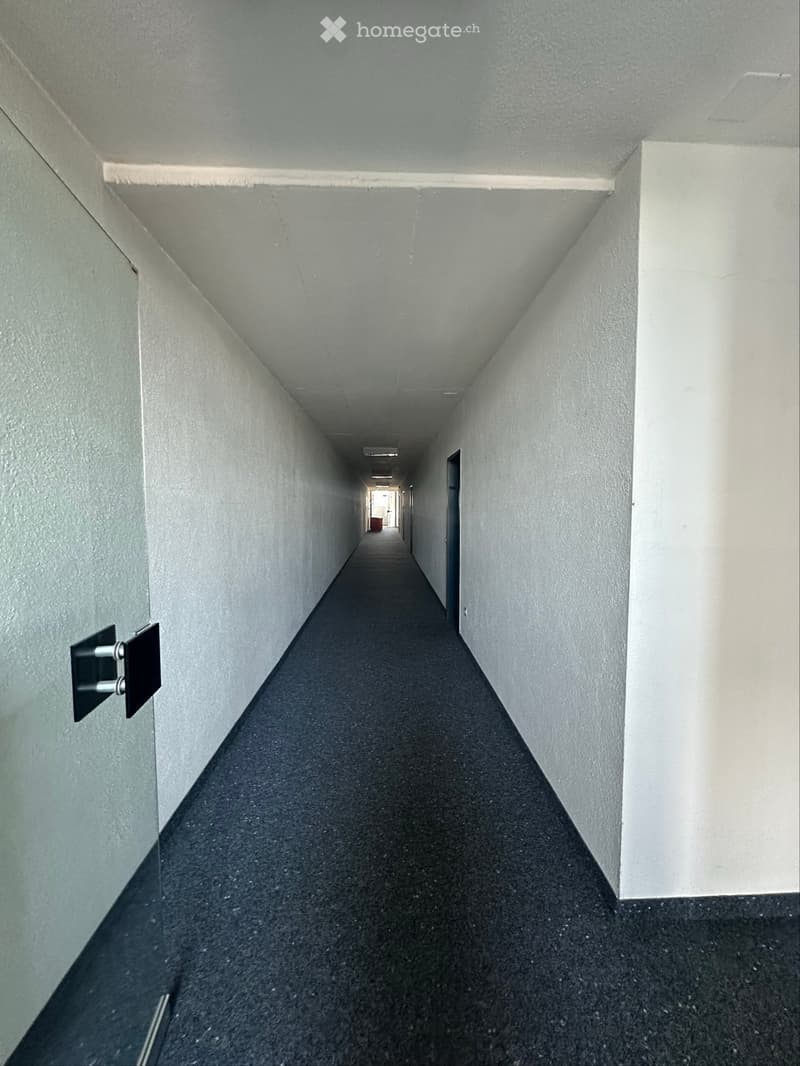 A long, narrow hallway with grey walls and a dark carpeted floor, leading to an open doorway at the end.